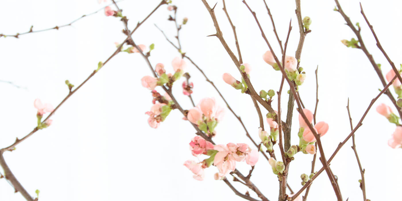 Illustration Gestaltherapie